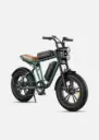 ENGWE M20
