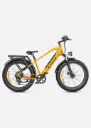 Bicicleta eléctrica ENGWE E26